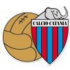Al Catania il logo storico, Revolution Group: "A muoverci è stato il legame con la città"