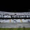 Undici in campo ma tutti con te: Ascoli, la B è anche merito della spinta del Del Duca