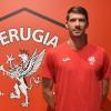 Perugia, ufficiale l'arrivo di Pelle Van Amersfoort: il comunicato