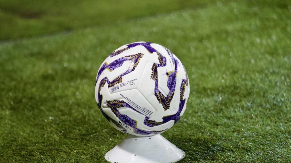 Giudice Sportivo, primo turno nazionale playoff: tre giornate di squalifica per Duca
