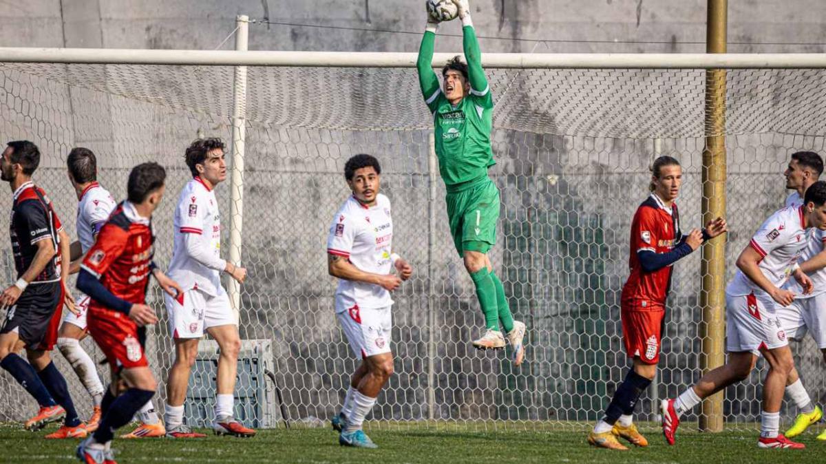 Reggiana, vicino l'arrivo di Matteo Sorzi