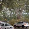 NEWS | Bomba d'acqua su Roma: temporali, vento, alberi caduti e non solo