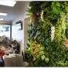 INSEGNE LUMINOSE E PARETI/ALLESTIMENTI FLOREALI SPECIALI: LEAVES PRO RIVOLUZIONA CASA E ATTIVITA'