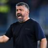 Venezia-Lazio, le probabili formazioni: Gattuso riflette sull'undici