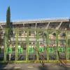 Lazio, le altre fasi del Flaminio: come proseguirà l'iter per lo stadio