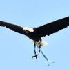 La Sampdoria pesca dal settore giovanile della Lazio: in arrivo due colpi