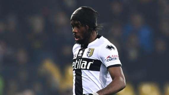 Parma, Gervinho verso il reintegro: la situazione in vista della Lazio