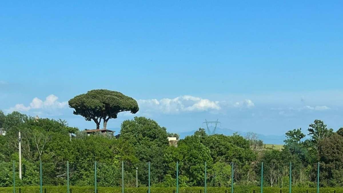 Primavera, la Lazio ora sfiora la vetta: Roma battuta e sorpassata in classifica
