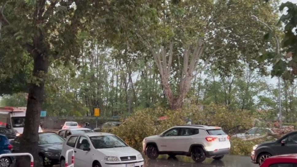 NEWS | Bomba d'acqua su Roma: temporali, vento, alberi caduti e non solo