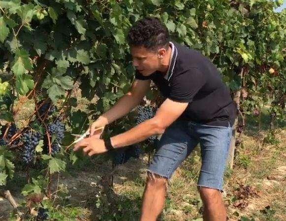 La nuova vita di Hernanes. L'ex Lazio apre un'azienda vitivinicola: “Ca' Del Profeta”