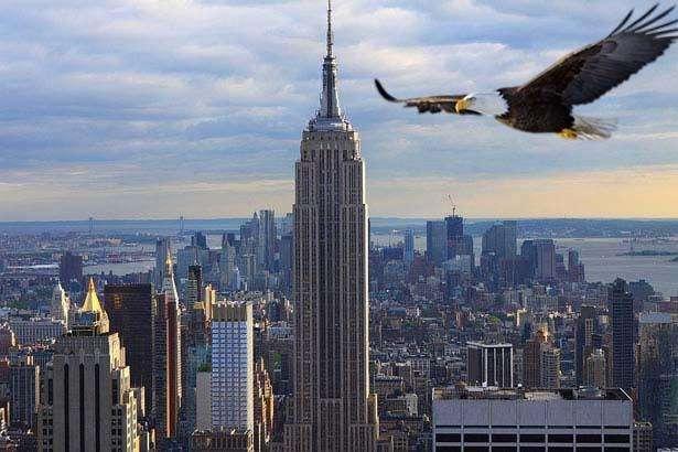 New York City Marathon: anche la Lazio Atletica Leggera parteciperà alla manifestazione 