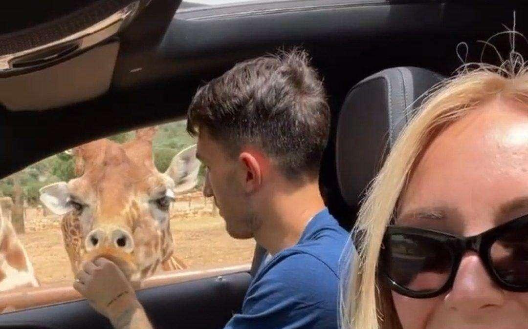 Cataldi e famiglia tra tigri e giraffe: ecco la visita allo Zoo Safari! - FOTO