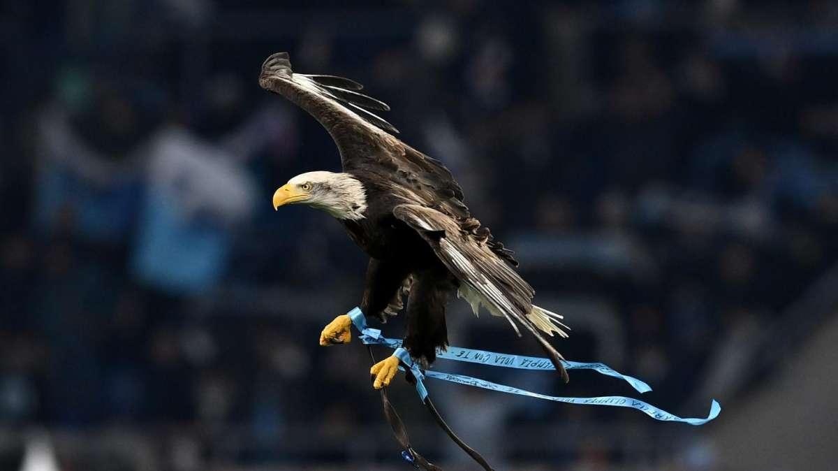 Lazio, i risultati del settore giovanile: weekend poco redditizio