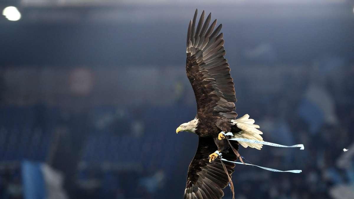Lazio, rinnovata la partnership con British School Group: il comunicato