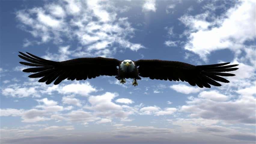 La Lazio vola via, in equilibrio sopra la follia