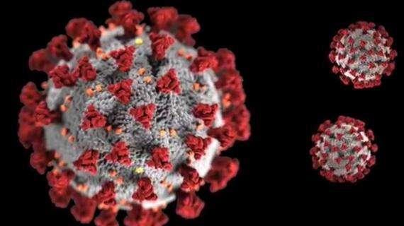 Coronavirus, 20 nuovi casi nel Lazio: positivo bimbo di un anno a Civitavecchia