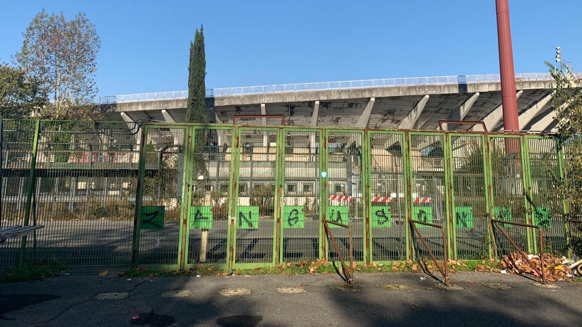 Lazio | Elisabetta Nervi: "Il Flaminio non può diventare uno stadio di Serie A"