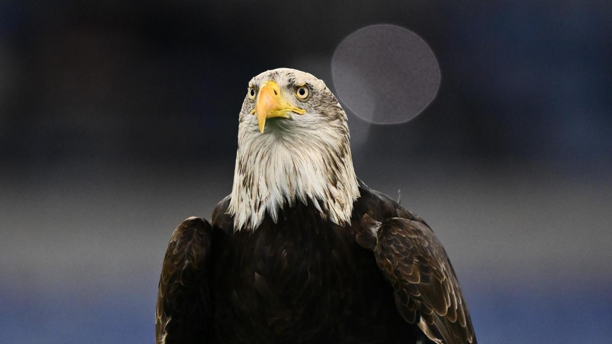 Lazio, altro colpo dall'Empoli: un baby talento è a Formello - VIDEO
