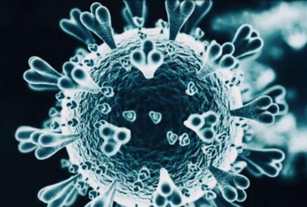 Coronavirus, lo studio da Singapore: "Dal 12 agosto zero contagi in Italia"