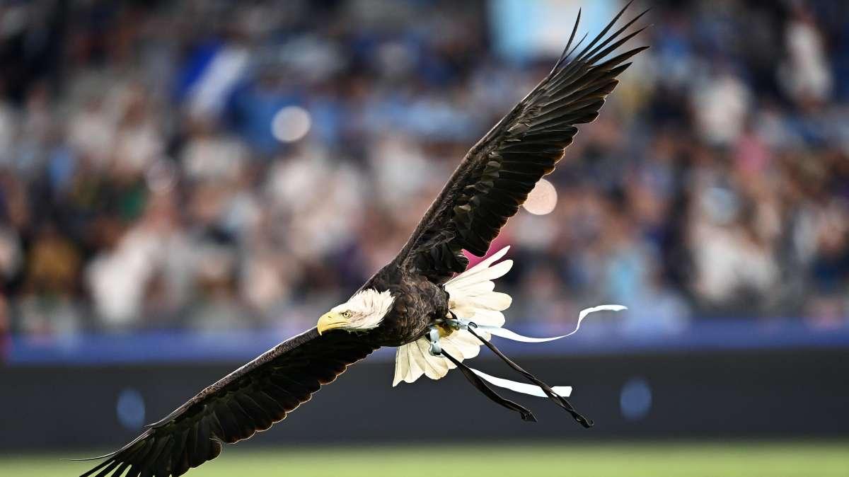 Lazio, i baby come i grandi: battuta l'Inter nel primo match della Scopigno Cup!