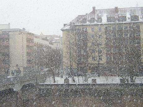 Monaco di Baviera, clima glaciale: neve nella notte - VIDEO