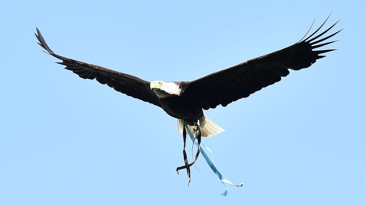 La Sampdoria pesca dal settore giovanile della Lazio: in arrivo due colpi