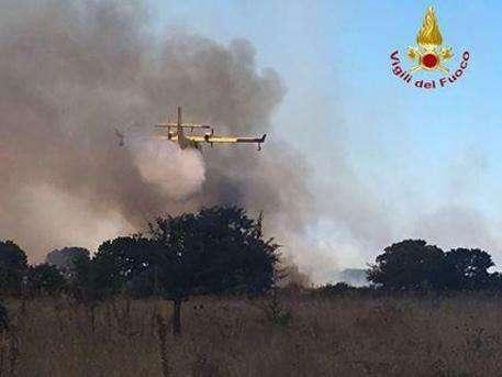 Sardegna, vasto rogo nell'Oristanese. La paura dei cittadini: "Fiamme fino in piazza"