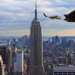 Lazio Atletica Leggera: sabato verrà svelata la divisa per il 2017 in occasione della New York City Marathon