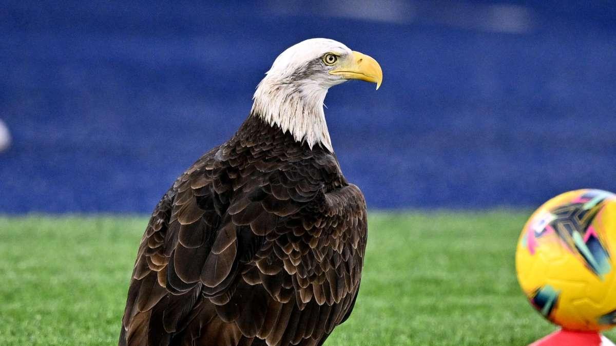 Lazio, che succede ora con Olympia? La situazione