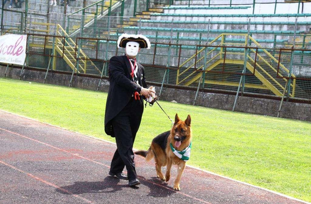 Inghilterra, partita rinviata dall'arbitro a causa di un...cane