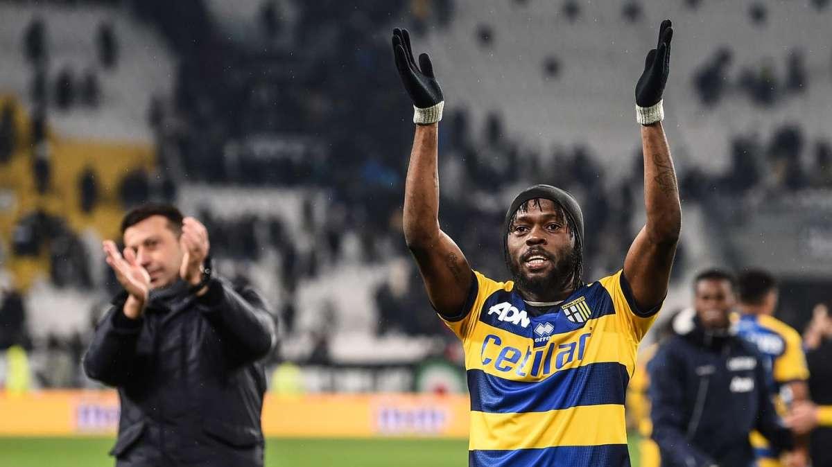 Parma - Lazio, D'Aversa sorride dopo l'allenamento di oggi: il report da Collecchio