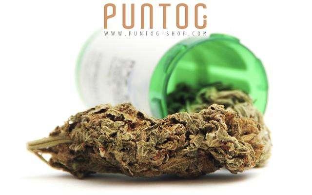CANNABIS LIGHT E CBD SEMPRE IN RETE, PRIMI IN CLASSIFICA E CAMPIONI DELLO SPORT