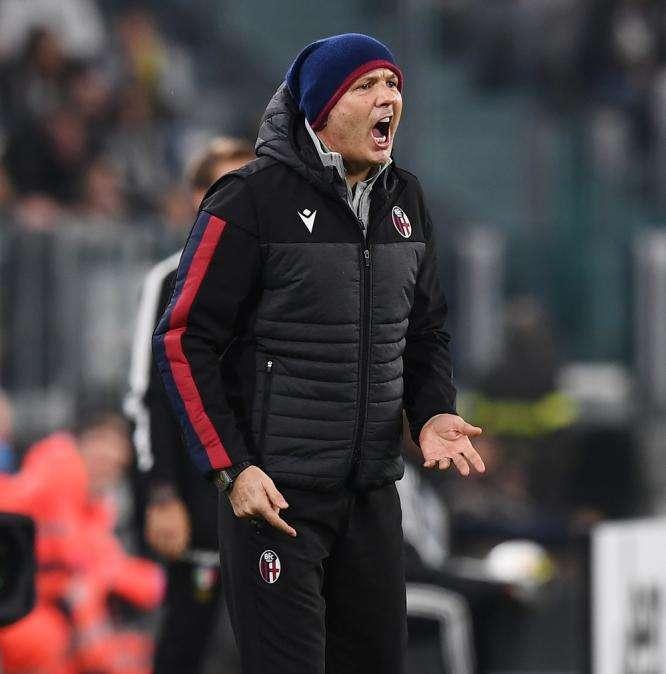 Mihajlovic, il ritorno del guerriero: muso duro col Bologna. E intanto è già tecnico dell'anno