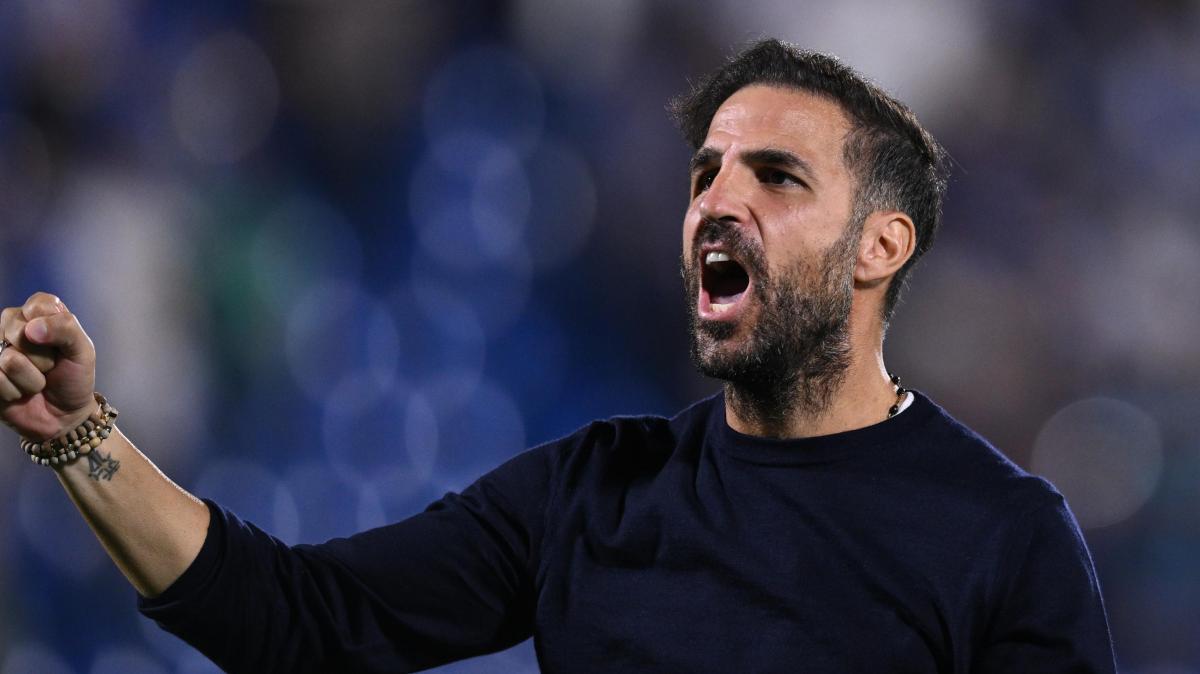 Como, Fabregas risponde a Gasperini: "Manca un rosso a Wesley!"