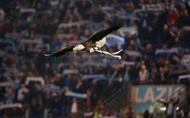 Lazio, incidente sull'A4: un tifoso muore di rientro da Auronzo
