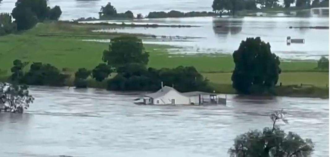 Disastro in Australia. Alluvione e invasione di ragni e serpenti - VIDEO