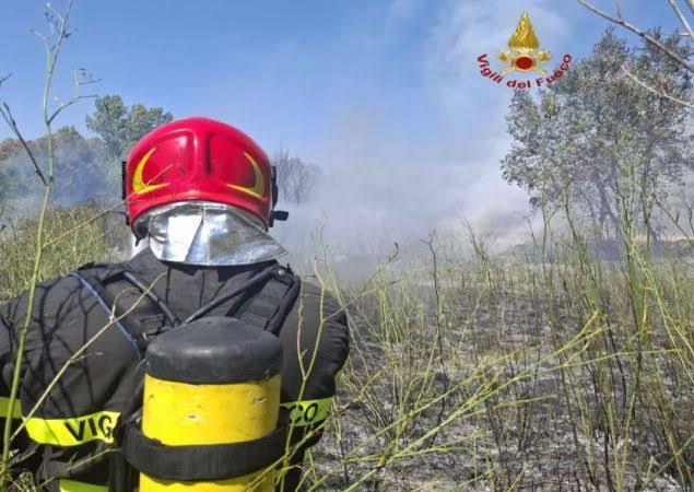 Roma, rogo di sterpaglie vicino ai binari: circolazione ferroviaria bloccata