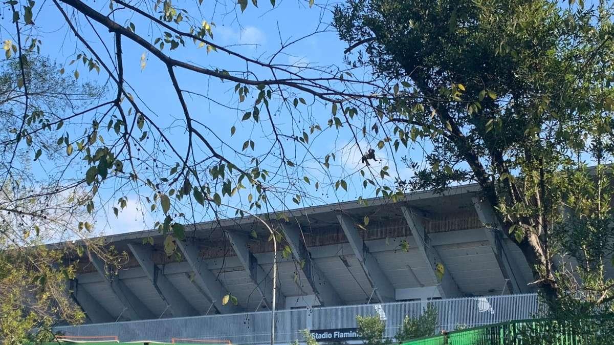 Lazio | Flaminio, si attendono risposte da Lotito: la situazione