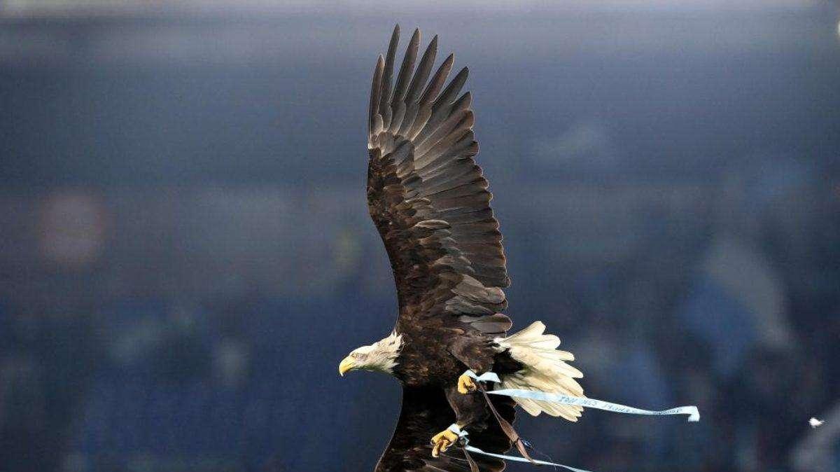Lazio, la prima maglia nata da una bandiera greca: il racconto