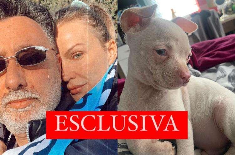 Eva Henger, parla Caroletti: "Dalla storia legata a Pedro al bruttissimo incidente"