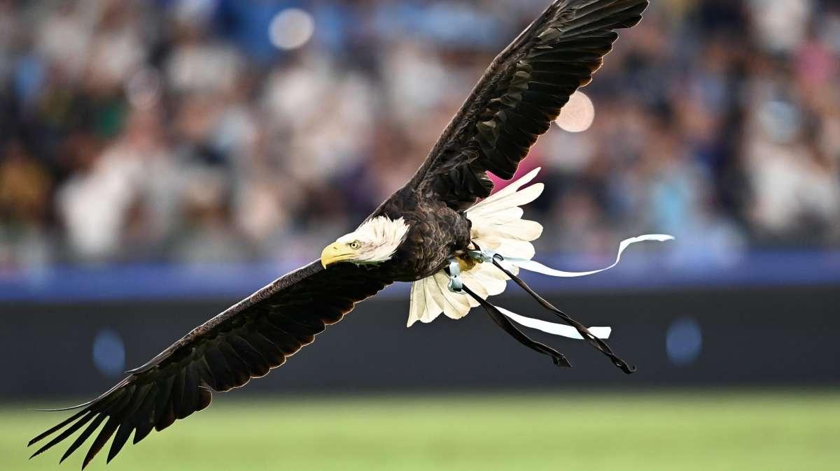 Lazio, Regalia: "La seguo sempre. Ricordo contro il Campobasso..."