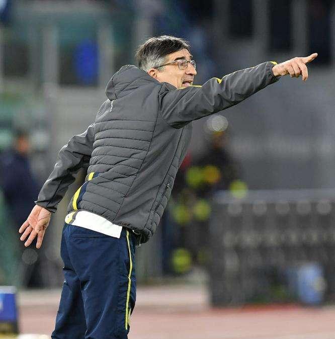 Verona, Juric: "Impressionato dalla Lazio, ma noi abbiamo avuto le palle"