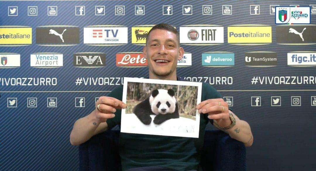 Nazionale, Belotti tra animali e compagni: "Immobile? Un panda. Invece Acerbi..." - VIDEO