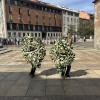 Immagine news Primo piano n.1