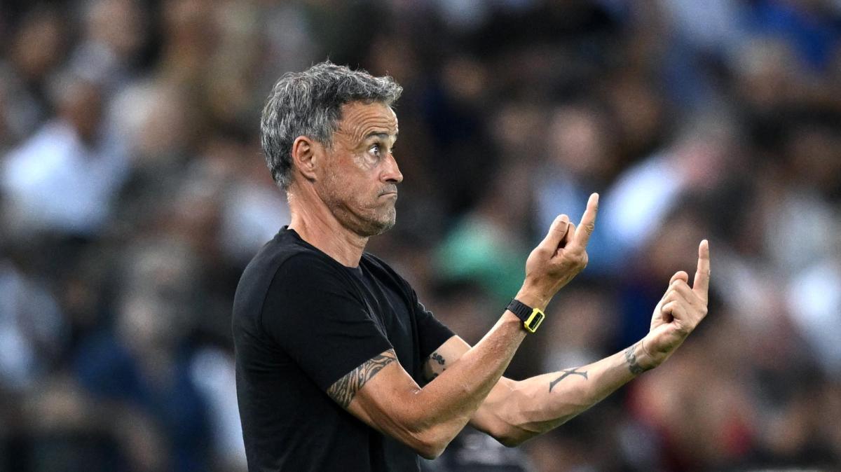 Francia, polizia chiede rinvio Psg-Lione per timore di disordini
