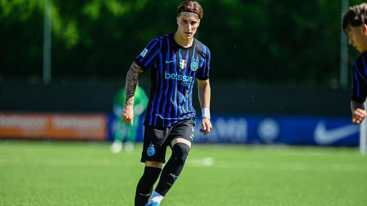 Immagine strip Nazionali n.3