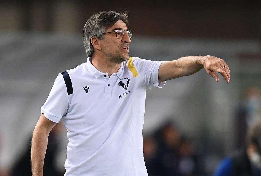Hellas, Juric: "Dimarco ha fatto un grandissimo campionato. È il classico quarto"