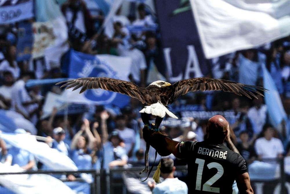 Dal Guardian a Marca, la storia del falconiere licenziato dalla Lazio fa il giro d'Europa