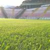 Orario ufficiale: Messina-Messana Riviera alle 16,30 al Franco Scoglio