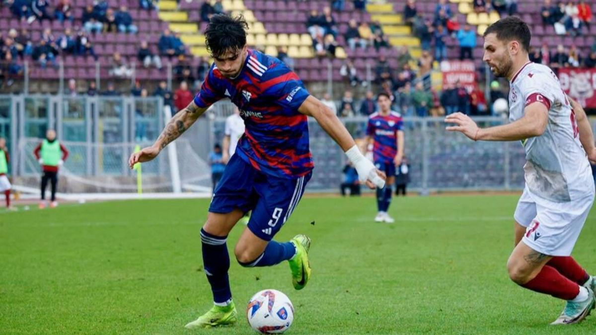 Pino in azione